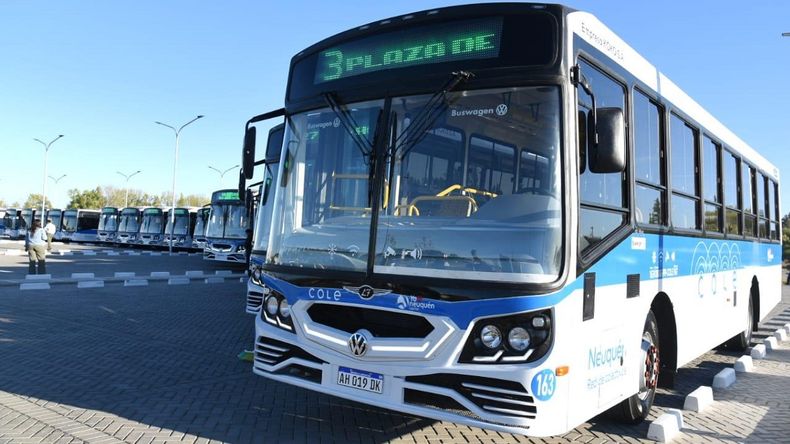 Tres años de COLE: Neuquén sumará más colectivos desde marzo | LM Neuquen Tres años de COLE: Neuquén sumará más colectivos desde marzo