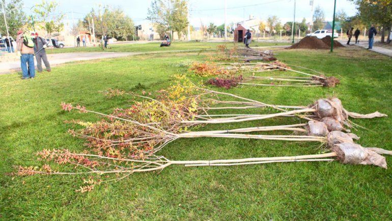 Mejoraron dos plazas del barrio Valentina Sur