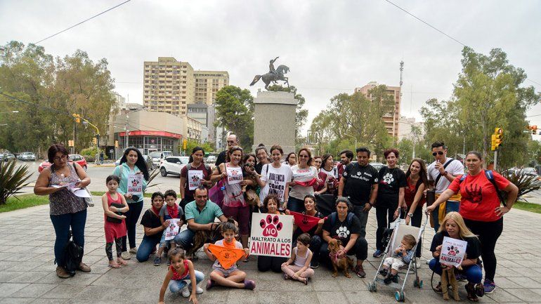 Marcharon para pedir un hospital para los animales