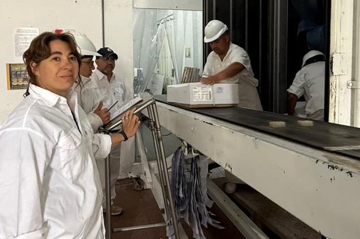 Desde la Patagonia al Golfo: un frigorífico rionegrino retoma envíos de carne ovina con destino Qatar