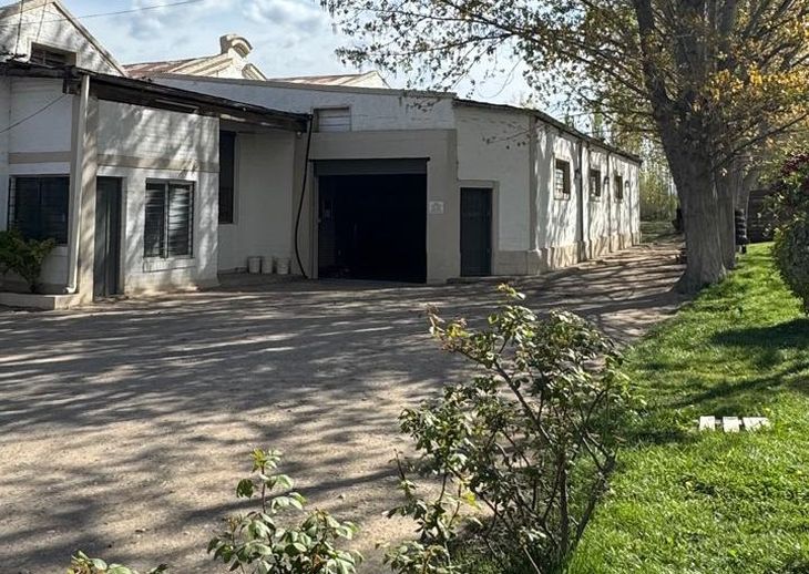 Las viejas piletas de 90.000 litros fueron redimensionadas a 20.000 litros. El paso a los vinos de calidad exige capacidades más pequeñas y un control más riguroso de las variables. Foto Fabricio González.