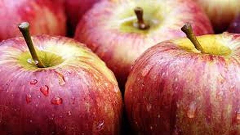 Manzanas: cómo funciona la mayor empresa del hemisferio sur