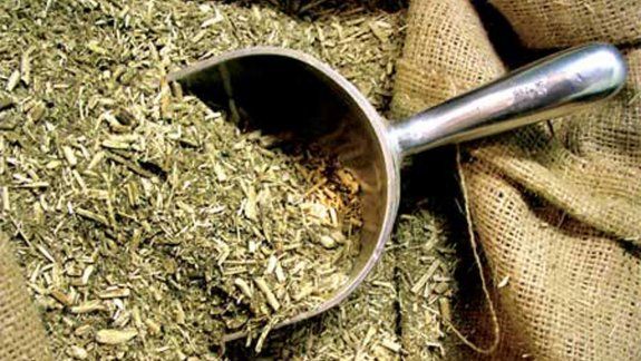 La yerba mate tuvo un récord de exportación
