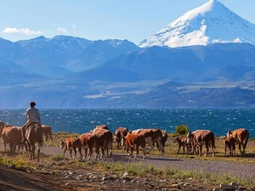 Sin definiciones sobre el futuro de la barrera sanitaria en esta primera reunión. Sin definiciones sobre el futuro de la barrera sanitaria en esta primera reunión.