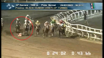 imagenes sensibles: pelea por su vida tras triple rodada en la plata imagenes sensibles: pelea por su vida tras triple rodada en la plata