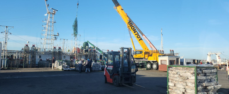 El domingo descargaron calamar 9 barcos. Foto: Secretaría de Comunicación Pública y Medios El domingo descargaron calamar 9 barcos. Foto: Secretaría de Comunicación Pública y Medios