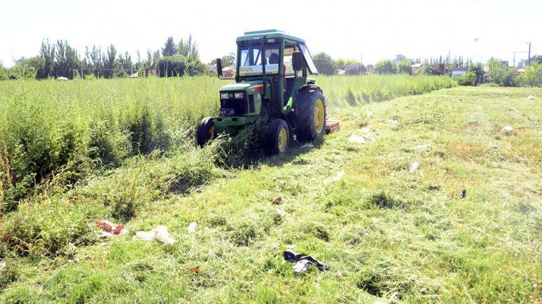 Le limpian el baldío pero le pasan una factura millonaria