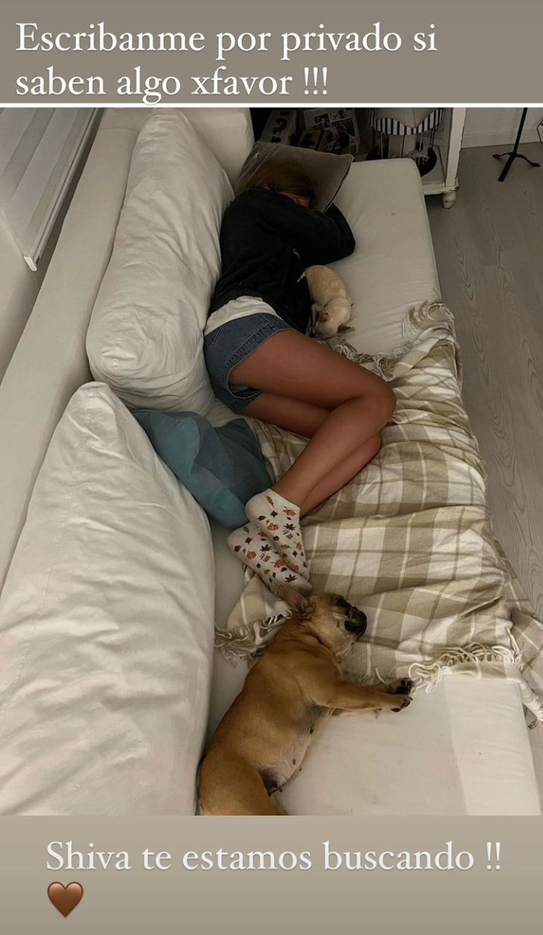 Nicole acudió a la solidaridad de sus casi dos millones de seguidores para obtener datos de su perrita desaparecida.