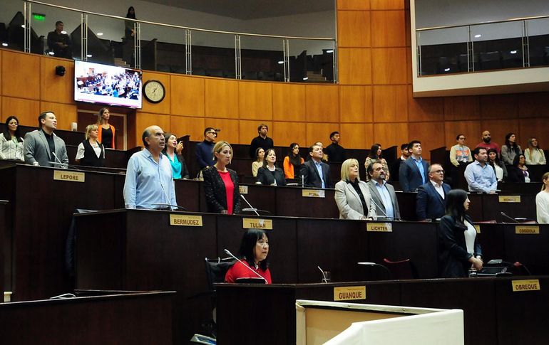 La norma se aprobó con 26 votos positivos. La norma se aprobó con 26 votos positivos.