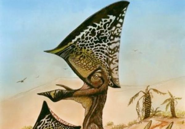 Descubren otro animal prehistórico volador
