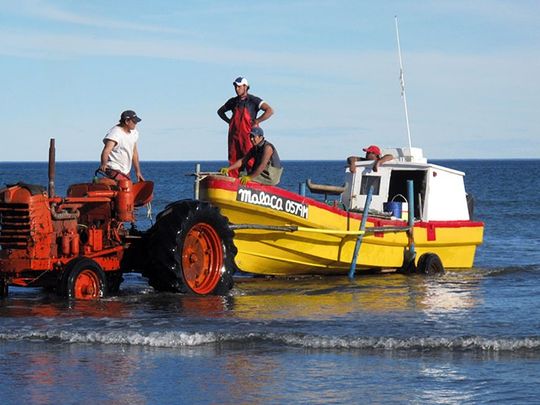 Invertirán 220.000 dólares en SAO para una planta de congelado de pescados y mariscos