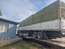 empresa compra alfalfa en el valle medio para exportar empresa compra alfalfa en el valle medio para exportar