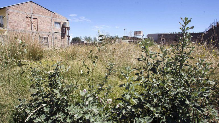 Inspectores de la Municipalidad salen a multar a propietarios de baldíos