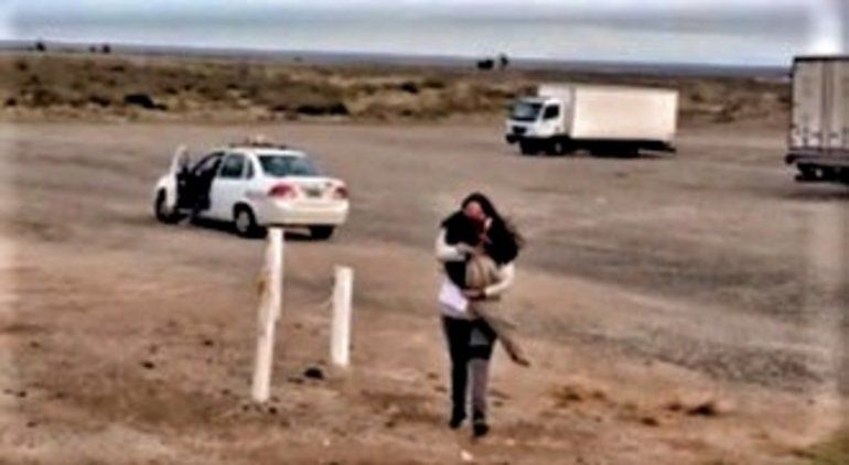 El perro que viajó 450 kilómetros en taxi para encontrarse con su dueña