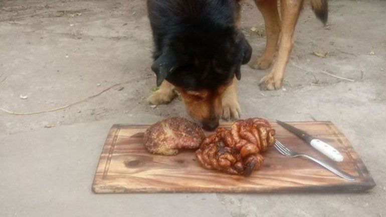 La emotiva historia del policía que le regaló un asado a su perro por su cumpleaños