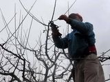 La nueva normativa modifica las leyes 26.844 y 26.727, extendiendo el período de prueba y actualizando el sistema de contratación y despido.