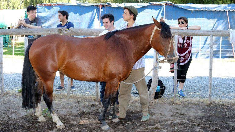 El campo tiene cita en la expo rural de Junín de los Andes