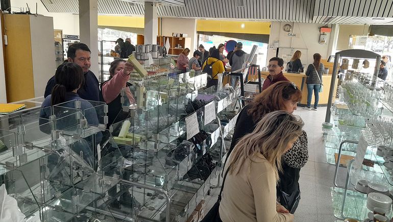 El bazar Para Ti arrasó con sus descuentos: tras 68 años, su cierre es inminente