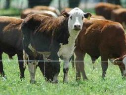 barrera sanitaria: avanza el traspaso de la gestion a las provincias barrera sanitaria: avanza el traspaso de la gestion a las provincias