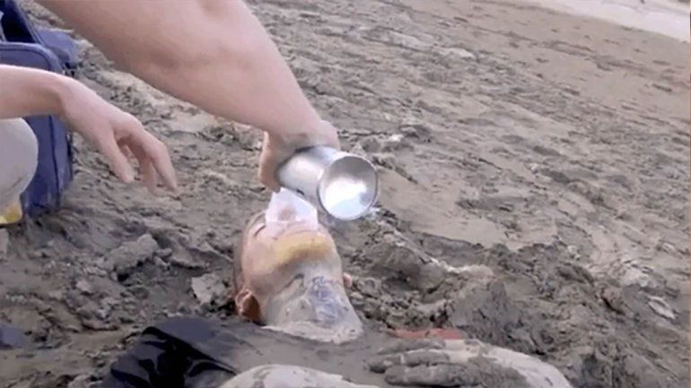 El susto de Alex Caniggia: se descompuso en un reality y fue llevado en ambulancia