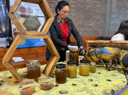 La 8° Expo Alumiel reunió 90 apicultores de Neuquén, Río Negro y Chubut en tres jornadas. La 8° Expo Alumiel reunió 90 apicultores de Neuquén, Río Negro y Chubut en tres jornadas.