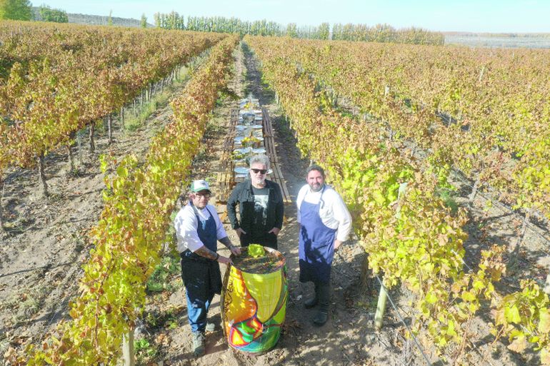 Las bodegas de San Patricio del Chañar tienen todo listo para la Semana del Vino 2022.