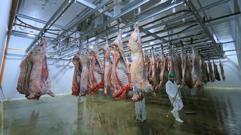 Patagonia: precio de la hacienda se desploma, ¿baja la carne al consumidor?