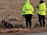 La policía de Santa Cruz no pudo identificar el cuerpo y busca pistas en las cámaras de seguridad de comercios cercanos.