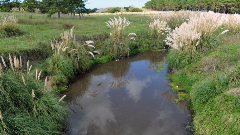 Exhumarán la tumba del nene hallado mutilado en Miramar