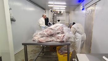 A preparar la parrilla: vuelven los chivitos premium de La Cordecc. A preparar la parrilla: vuelven los chivitos premium de La Cordecc.