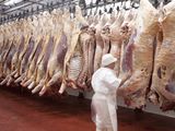 La aprobación inicial en Europa reaviva el acuerdo con el Mercosur y define un nuevo esquema de acceso para la carne vacuna, con beneficios arancelarios limitados y mecanismos de protección para productores europeos.
