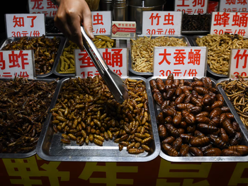 Cientos de millones de personas comen insectos, pero el consumo se concentra en las regiones tropicales del planeta. En la imagen, puesto de comida en Nanning, capital de la región sureña Guangxi, en China. Cientos de millones de personas comen insectos, pero el consumo se concentra en las regiones tropicales del planeta. En la imagen, puesto de comida en Nanning, capital de la región sureña Guangxi, en China.