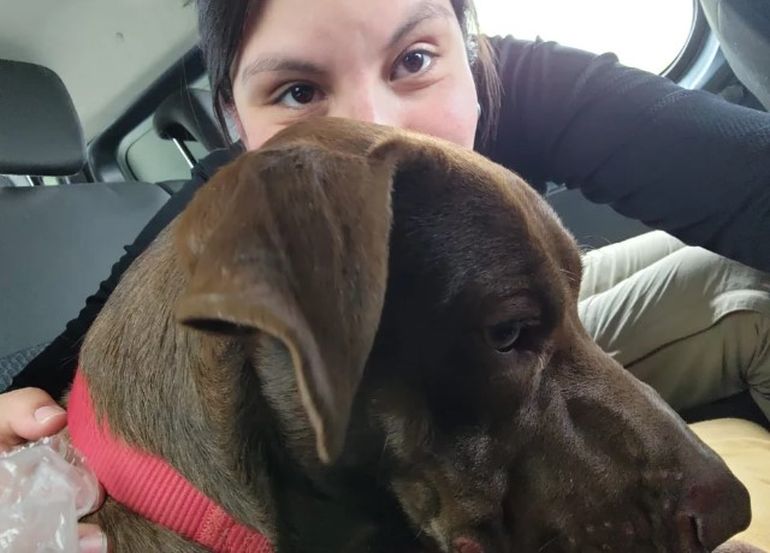 Cinthia y Roque tras el reencuentro en Comodoro Rivadavia. Cinthia y Roque tras el reencuentro en Comodoro Rivadavia.