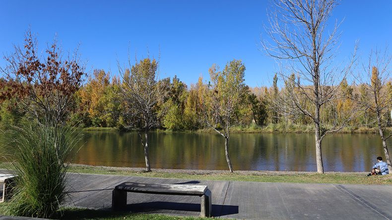 El pronóstico del tiempo para Neuquén indica condiciones otoñales típicas.