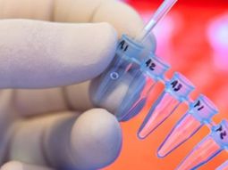 La prueba genética concluyó que no era el padre biológico, un dato central en el conflicto que llegó a la Justicia. La prueba genética concluyó que no era el padre biológico, un dato central en el conflicto que llegó a la Justicia.