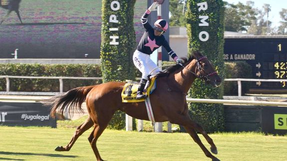 Quisieron vender uno de los mejores caballos de carreras del país a precios irrisorios y los agarró la Aduana
