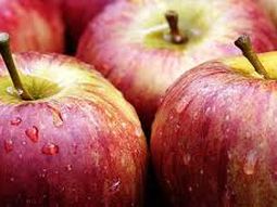 manzanas: como funciona la mayor empresa del hemisferio sur manzanas: como funciona la mayor empresa del hemisferio sur