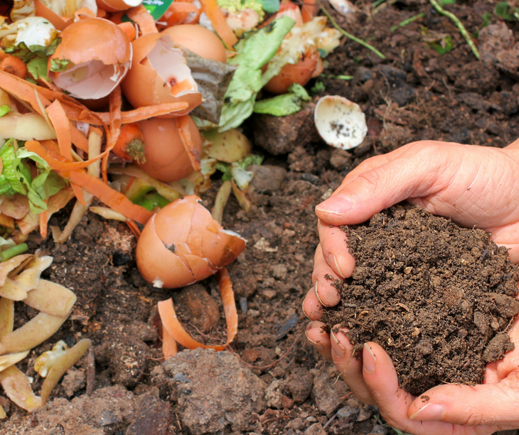 Se repasará cómo poner en marcha una compostera. Se repasará cómo poner en marcha una compostera.