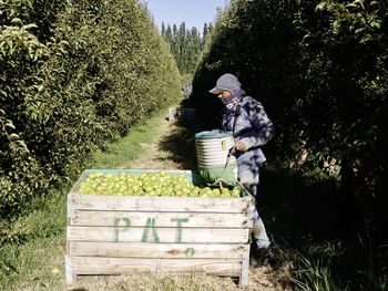 Los productores están todavía a las espera de los créditos para una cosecha que está terminada.