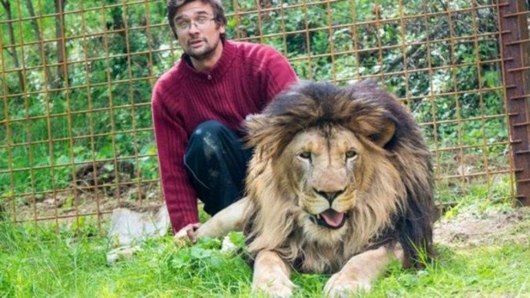 Crió a dos leones como a perritos y se lo devoraron
