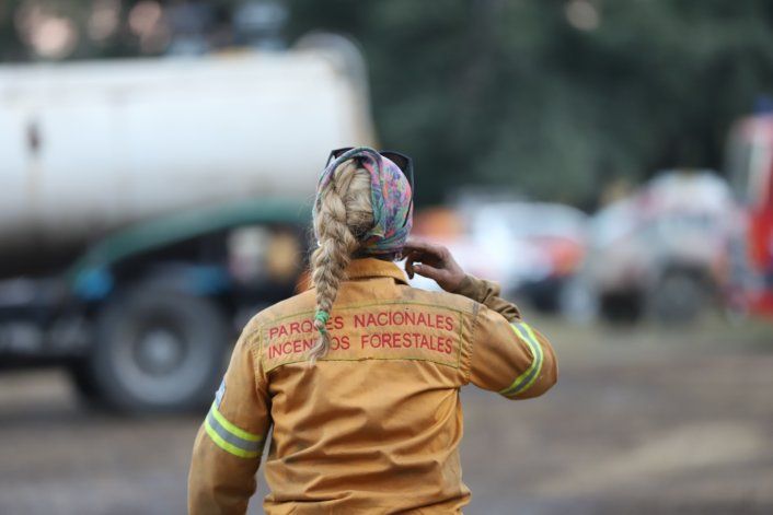 Los brigadistas trabajan durante horas para combatir el incendio / Foto