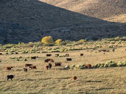 La Federacion Agraria se opone a. algunos puntos del DNU. La Federacion Agraria se opone a. algunos puntos del DNU.