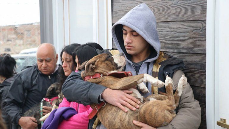 Centenario ya tiene un plan masivo para castrar perros