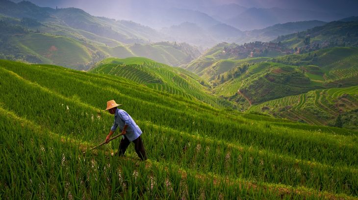 Para la producción en zonas alejadas y sin gran infraestructura, este nuevo dron será clave para el desarrollo. Para la producción en zonas alejadas y sin gran infraestructura, este nuevo dron será clave para el desarrollo.