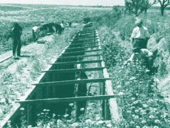 la hazana olvidada del siglo xx: como cultivaron frutas tropicales a -30°c en el invierno ruso la hazana olvidada del siglo xx: como cultivaron frutas tropicales a -30°c en el invierno ruso