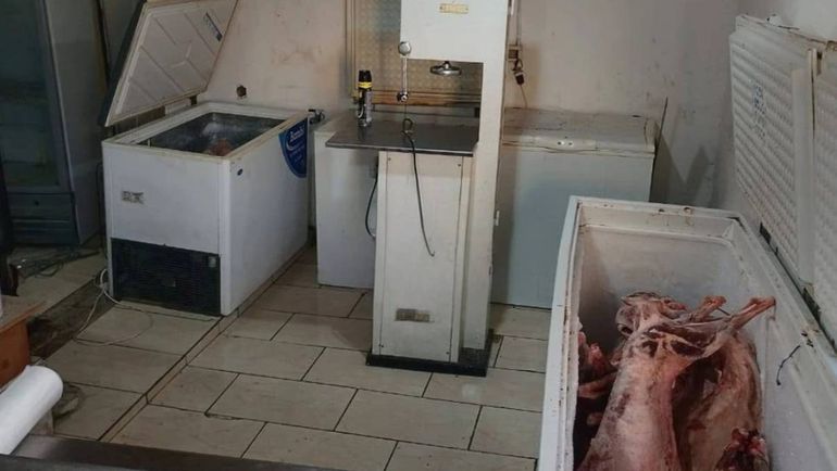 De Facebook al freezer: secuestran 400 kilos de carne ilegal de una casa de Vista Alegre
