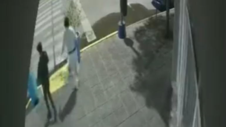 Tres jóvenes destruyeron las macetas de la vereda frente a una pinturería: todo quedó grabado