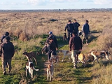 Gran preocupación en la cordillera por la inseguridad en los campos.