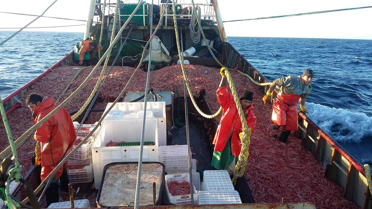 La industria pesquera revela una&nbsp; dinámica compleja y desafíos.