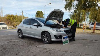 Pasó por un control y descubrieron que tenía patentes truchas